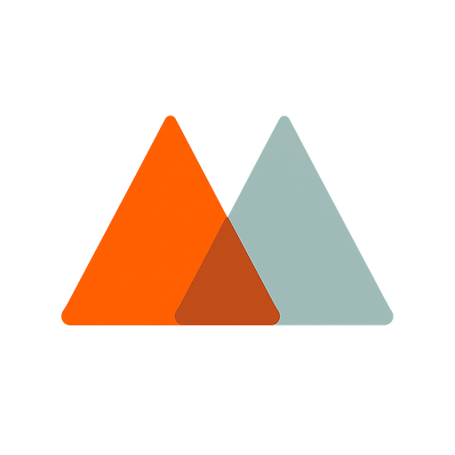 Merisis Multicap Portfolio