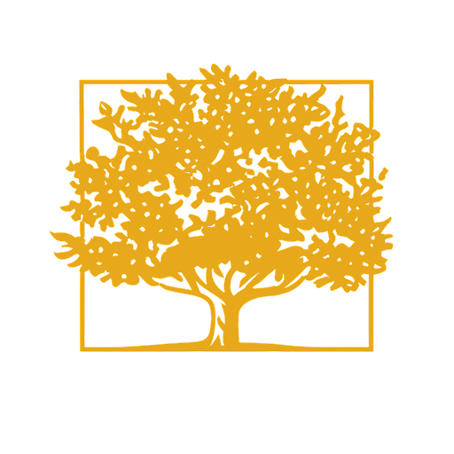 Prosperity - Discovery Fund