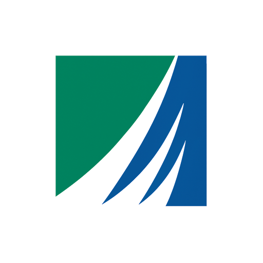Reliance - Alpha Large Cap