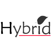 Hybrid Financial Services Shareholding Pattern