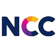 NCC Shareholding Pattern