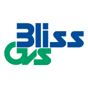 Bliss GVS Pharma Shareholding Pattern