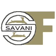 Savani Financials Peer Comparison