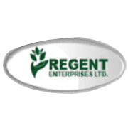 Regent Enterprises Shareholding Pattern