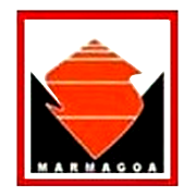 Marmagoa Steel Shareholding Pattern