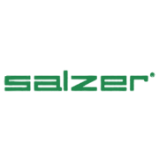 Salzer Electronics Shareholding Pattern