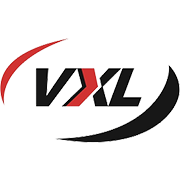 VXL Instruments Shareholding Pattern
