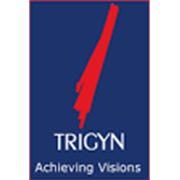 Trigyn Technologies Shareholding Pattern