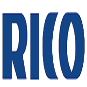 Rico Auto Industries Shareholding Pattern