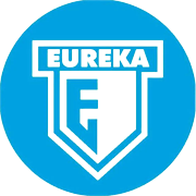 Eureka Industries Shareholding Pattern