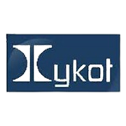 Iykot Hitech Toolroom Shareholding Pattern