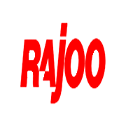 Rajoo Engineers Peer Comparison