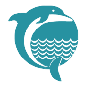 Dolphin Enterprise Shareholding Pattern