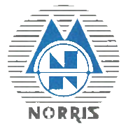 Norris Medicines Shareholding Pattern