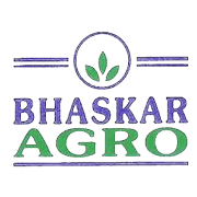 Bhaskar Agro Chemicals Peer Comparison