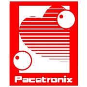 Shree Pacetronix Shareholding Pattern