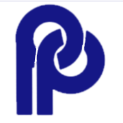 Pankaj Polymers Peer Comparison