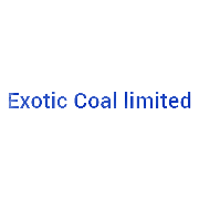 Exotic Coal Shareholding Pattern