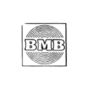 BMB Music & Magnetics Peer Comparison