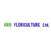 HRB Floriculture Shareholding Pattern