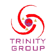 Trinity League India Shareholding Pattern