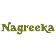 Nagreeka Capital Shareholding Pattern