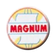 Magnum Ventures Shareholding Pattern