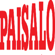 Paisalo Digital Shareholding Pattern