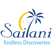 Sailani Tours N Travels Peer Comparison