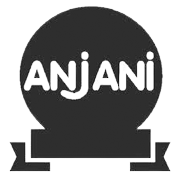 Anjani Synthetics