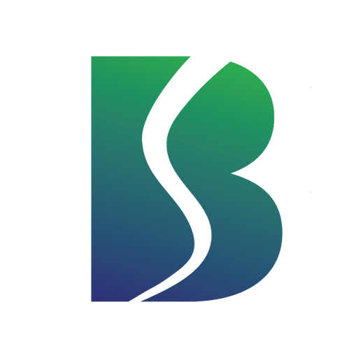 Belrise Industries Peer Comparison