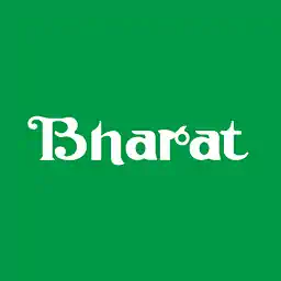 Bharat Rasayan Shareholding Pattern