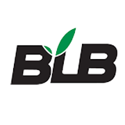 BLB Shareholding Pattern