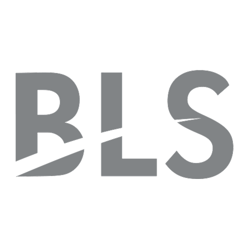 BLS International Services Peer Comparison
