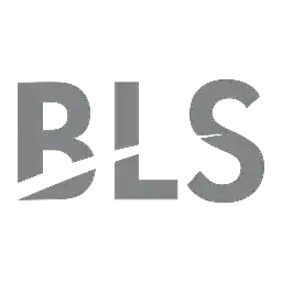 BLS International Services Shareholding Pattern