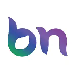 BN Holdings Shareholding Pattern