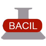 Bacil Pharma Shareholding Pattern