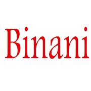 Binani Industries Peer Comparison