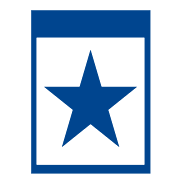 Blue Star Infotech
