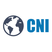 CNI Research Shareholding Pattern