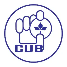 City Union Bank Peer Comparison
