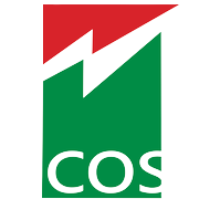 Cospower Engineering Peer Comparison