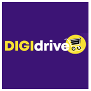 Digidrive Distributors Shareholding Pattern