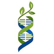 Emmessar Biotech & Nutrition Shareholding Pattern