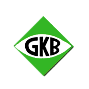 GKB Ophthalmics Shareholding Pattern