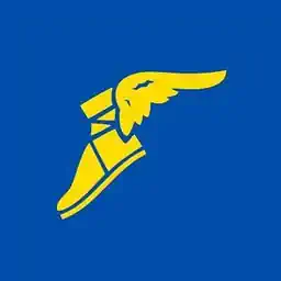 Goodyear India Shareholding Pattern