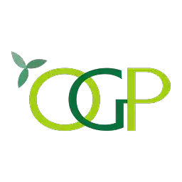 Orient Green Power Company Shareholding Pattern