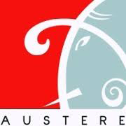 Austere Systems Shareholding Pattern