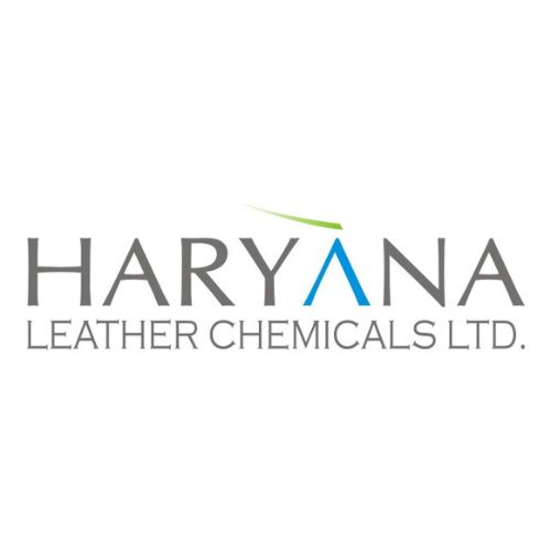 Haryana Leather Chemicals Shareholding Pattern