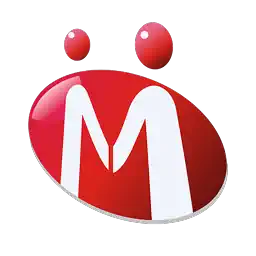 Indiamart Intermesh